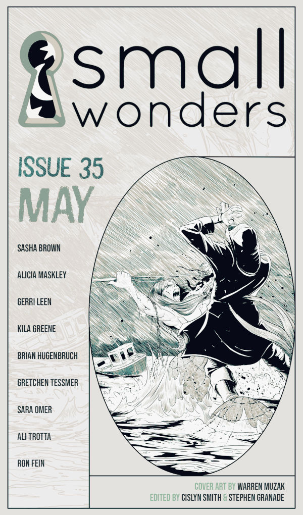 Small Wonders issue 35 cover